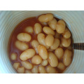 canned white beans in tomato sauce with good quality